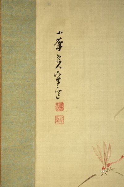 画像1: 渡辺小華画幅「蜻蛉荷花之図」