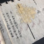 画像21: 貴志文庫旧蔵「御馬印旗指物図巻」 (21)