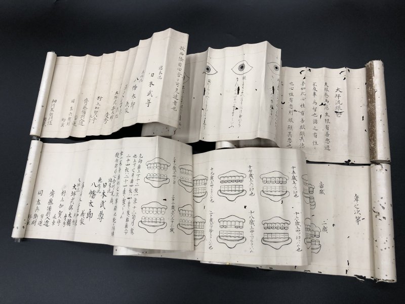 画像1: 大坪流馬術伝書 二巻〈眼巻・年之次第〉 (1)