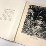 画像7: VERVE: An Artistic And Literary Quarterly Spring 1938 (Vol. I, No. 2) (7)