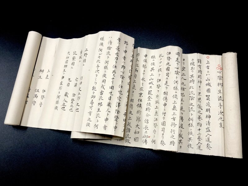 画像1: 心陰柳生流伝書 (1)